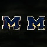 Michigan Wolverines Team Post Earrings
