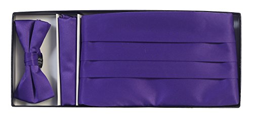 GiobertiMen's Adjustable Satin and Paisley Cummerbund Set