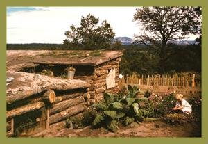 12 X 18 Stretched Canvas Poster Dugout Home Graden of Jack Whinery in Pie Town