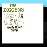 Rusty Never Sleeps by The Ziggens