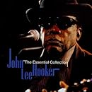 Essential Coll 1920-2001: Tribute John Lee Hooker