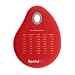 Kitchen & Housewares : Tovolo Spatulart Silicone Measurement Conversion Bowl Scraper, Red