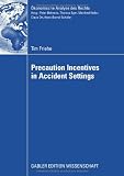 Precaution Incentives in Accident Settings (Ökonomische Analyse des Rechts)