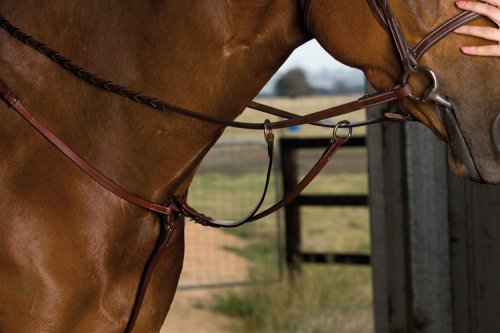 Kincade Flat Breastplate Running