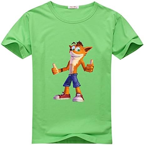 CustomHoodie Crash Bandicoot T shirts, Personalized Men's Tshirts