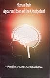Human Brain - Apparent Boon of the Omnipotent