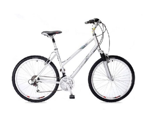 Childrens Toyshop  Toys : RALEIGH 15inch Voyager Ladies Bike