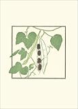 Chez Panisse Menu Cookbook