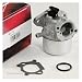 Briggs & Stratton 498170 Carburetor