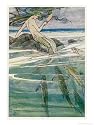 Peter Pan, Mermaid on a Rock Art Giclee Poster Print by Alice B. Woodward, 18x24