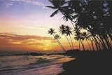 TROPICAL PARADISE POSTER SUNSET OCEAN PALM BEACH ST4305