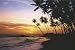 TROPICAL PARADISE POSTER SUNSET OCEAN PALM BEACH ST4305