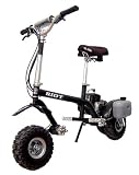 Go-Ped Riot