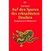 Lichtalben in der Nachtschw�rze