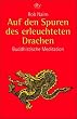 Auf den Spuren des erleuchteten Drachen: Buddhistische Meditation