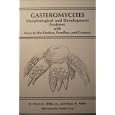 Gasteromycetes: Morphological & Developmental Features