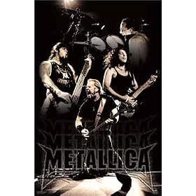 Metallica (Live Collage) Music Poster Print - 24" X 36"