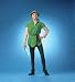 Peter Pan Adult Costume (Standard)