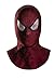 Disguise Men's Marvel The Amazing Spider-Man Adult Fabric Hood Costume Accessory