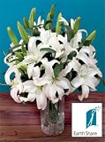 Earth Share Oriental Lilies, Eco-Friendly - Veriflora Certified, White Lily Bouquet