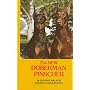 New Doberman Pinscher
