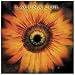 Comalies