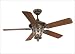 The Acropolis Ceiling Fan - New Tortoise Shell Finish : Clear Seeded