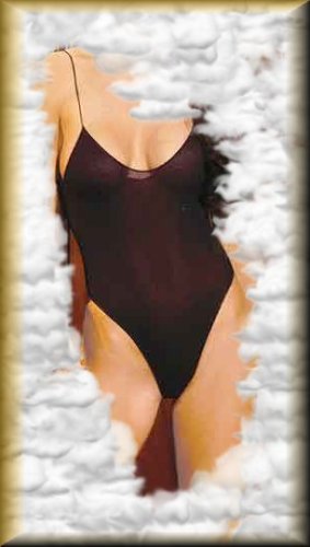 y2 Elegant n Unique - Opaque Teddy One Size and Queen Plus Size Black