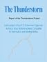 The Thunderstorm: Report of the Thunderstorm Project