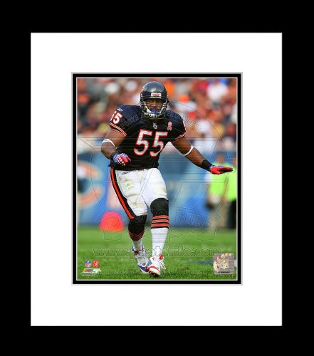 Chicago Bears Lance Briggs 2011 Action Framed Picture 8x10
