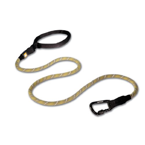 big dog leads