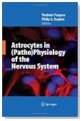 Astrocytes in (Patho)Physiology of the Nervous System
