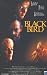 Video : Black Bird