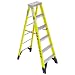 Werner 7306 375-Pound Duty Rating Type IAA Fiberglass Stepladder, 6-Foot