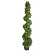 ONE 6' Pre-Potted Pond Cypress Artificial Topiary Tree