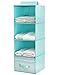 iwill CREATE PRO Hanging Storage Organizer Bag for Seasonal Garments, 4-Layer Compartments, A Drawer for Private Accessories, Enlarge Your Closet Space, Green