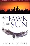 A Hawk in the Sun: Adventures Studying Hawks