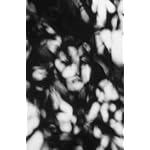Blur of the Otherworldly: Contemporary Art, Technology, and the Paranormal (Issues in Cultural Theory) book cover