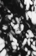 Blur of the Otherworldly: Contemporary Art, Technology, and the Paranormal (Issues in Cultural Theory)