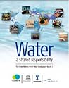 Water: A Shared Responsibilty (United Nations World Water Development Report)