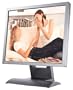 BenQ FP951 19" LCD Monitor (Gray/Black)