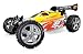 XTM X-Terminator 2e (XT2e) Brushless Buggy 1/8 4WD RTR