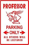 PROFESSOR PARKING sign * teach educate