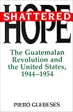 Shattered Hope
