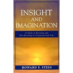 Insight and Imagination: A Study in Knowing and Not-knowing in Organizational Life