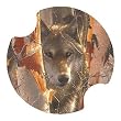 Birch Wolf Carsters - Coasters for Your Car