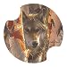 Birch Wolf Carsters - Coasters for Your Car