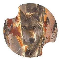 Birch Wolf Carsters - Coasters for Your Car