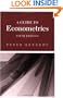 A Guide to Econometrics