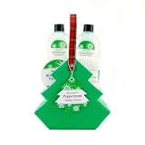 Bain D'Esprit Christmas Holiday Peppermint Spa Set